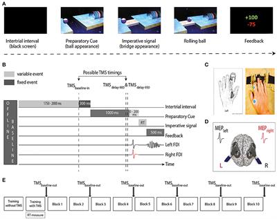 Using a Double-Coil TMS Protocol to Assess Preparatory Inhibition Bilaterally
